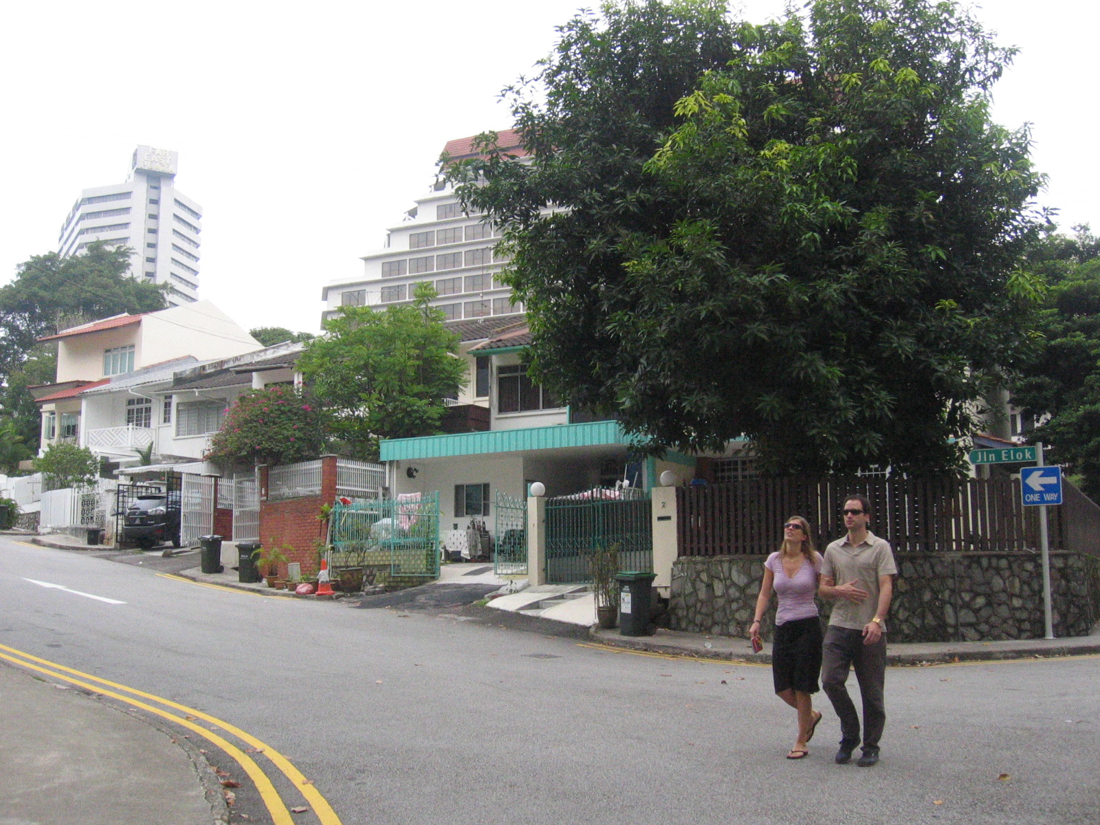 A private landed housing street in Singapore.