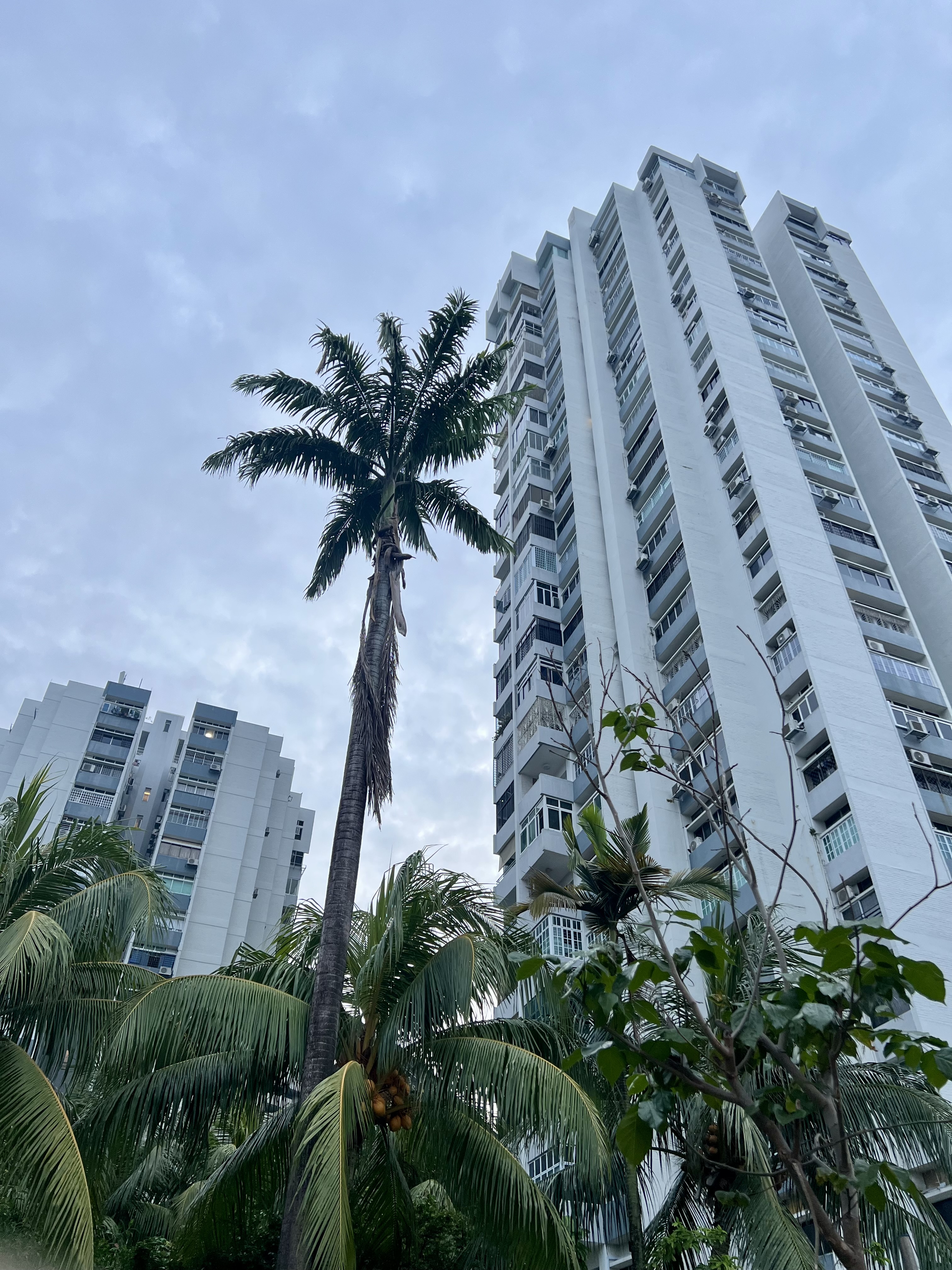 An established residential estate in eastern Singapore.